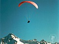 Paraglider